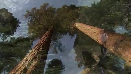 Най - голямото дърво на Планетата