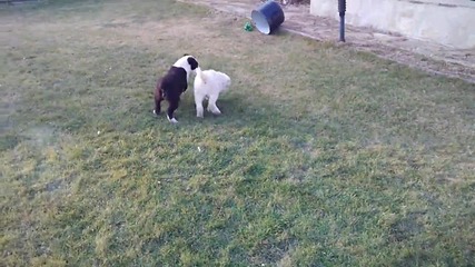 Vid_20150115_155015