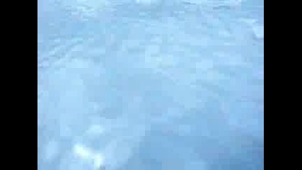 The Ocean Blue - Sublime