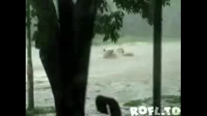 Не е лесно да си пешеходец 
