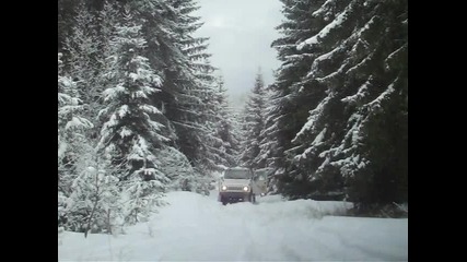 Picture 011 