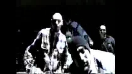 Psycho Realm - Stone Garden