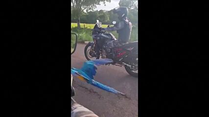 Любопитен папагал патрулира с полицаи (ВИДЕО)