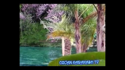 ozcan karakash tv - и приателите от 