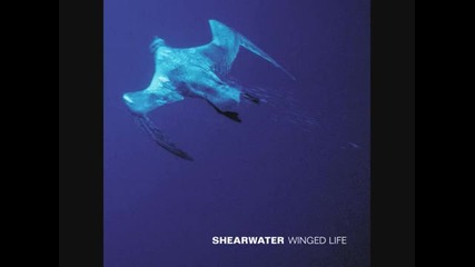 Shearwater - Wedding Bells are Breaking Up That Old Gang of Mine