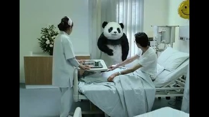 Никога не казвай не на Панда 