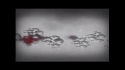 Wolf`s Rain Fan - made Trailer 