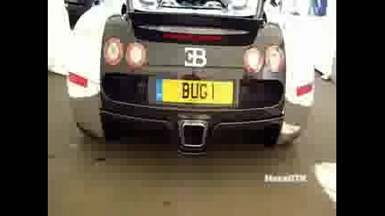 Bugatti Veyron Pur Sang In Action