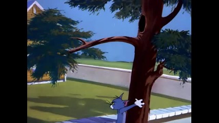 Tom & Jerry - Thats My Pup! 