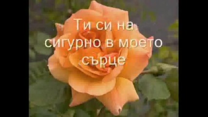 Celine Dion - My Heart Will Go On (превод)