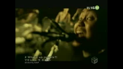 Whats Up People Maximum The Hormone