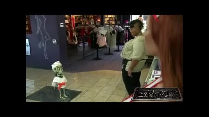 Achmed the dead terrorist discovering adult shop.