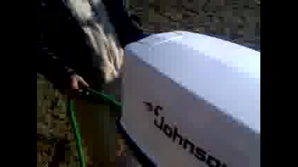 johnson 40hp