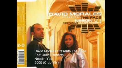 David Morales Presents The Face Ft Juliet Roberts - Needin you 