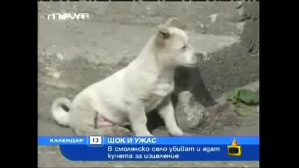 Господари На Ефира! Хора В Българско Село убиват и си хапват малки кучета!!!