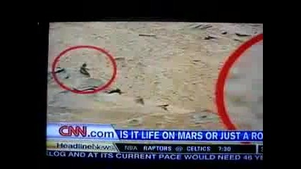 Извънземно на Марс