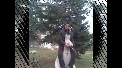 Geleto.flv