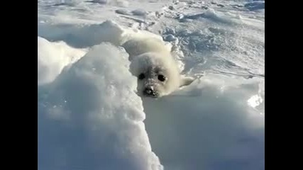 Къде си мамо ? ;[