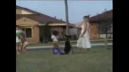 Готини Кучета