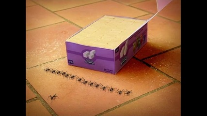 Minuscule.s01e02