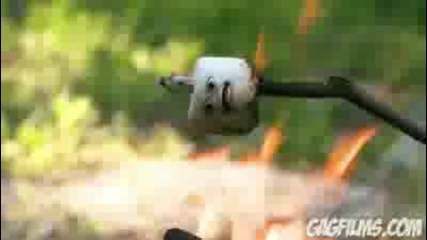 Marshmallow Murder