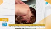Шоколад с… пръжки: Как Балканите отговарят на Дубай