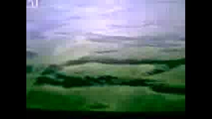 Животни 2