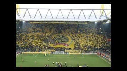 Bvb - Youll never walk alone!