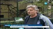 Земята навлиза в период на изчезване на видовете