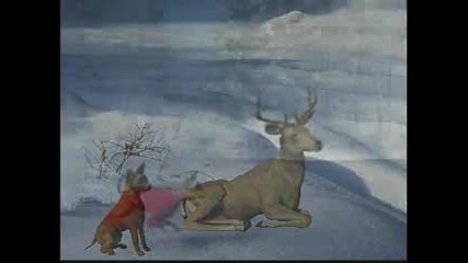 Blackmores Night - Christmas Eve 