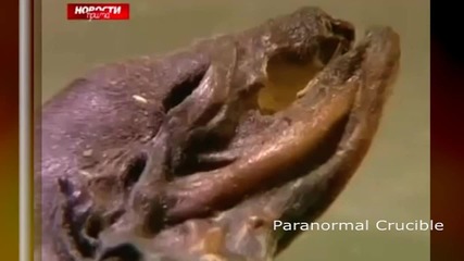Паранормално: .dead Alien Found In Russia?