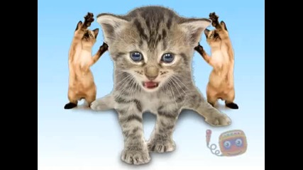 Kitties Singing Joy-joy-joy!