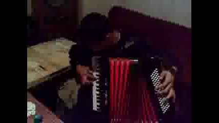 дани и вели