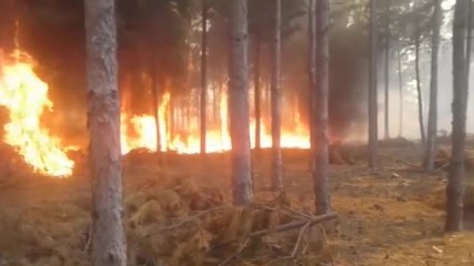 Пожарът над Красненското дефиле все още не е овладян