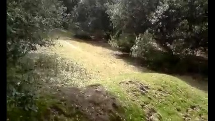 Веселият самоубиец 