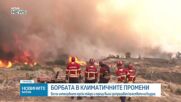 Световната метеорологична организация: Димът от пожарите може да измине хиляди километри и да причини замърсяване