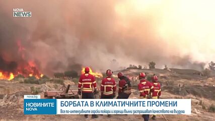 Световната метеорологична организация: Димът от пожарите може да измине хиляди километри и да причини замърсяване