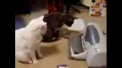 Атака На Принтер