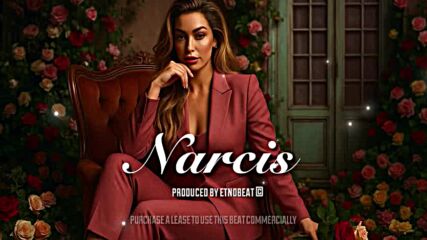 Tea Tairovic - Narcis (official Audio) 2025.mp4
