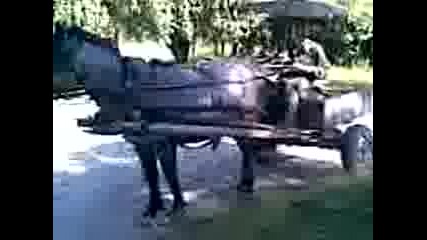 Видео000.3gp