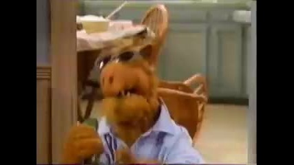 Alf 