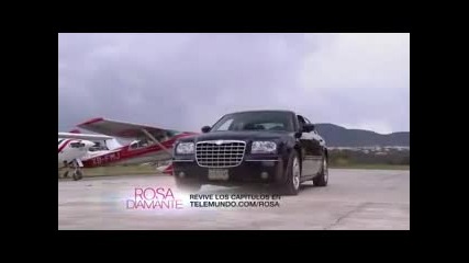 Rosa Diamante - 25
