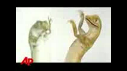 Smeshni gushteri tancuvat na pesen na micheal jackson!!!
