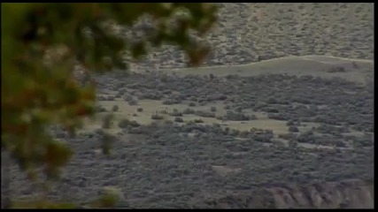 Mountain Biking