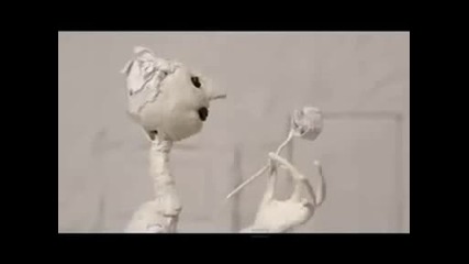 Devendra Banhart - Dont Look Back In Anger.avi