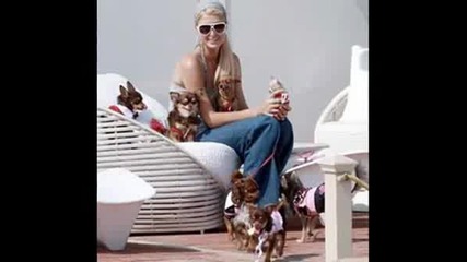 Paris Hilton - Аксесоари