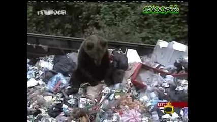 Мечка Клошар - Господари На Ефира 19.05.2008