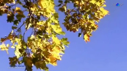 Giovanni Marradi - For The Rest Of My Life