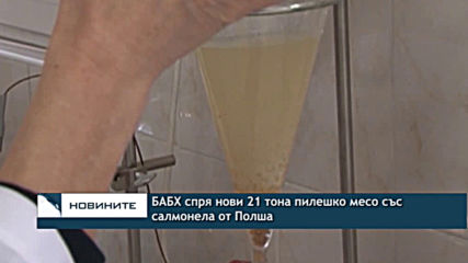 БАБХ спря нови 21 тона пилешко месо със салмонела от Полша
