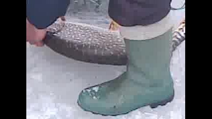 Видео0004